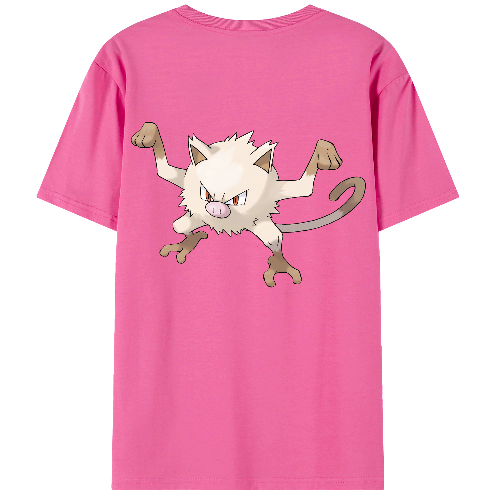 （画像用） ポケットモンスター Pokémon レディース半袖Tシャツ(バックプリント)